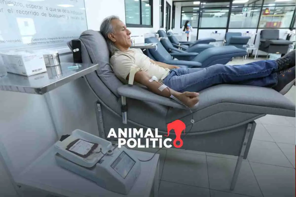 Pajaropolitico's tweet photo. #HoyEnAnimal | El fracaso del Insabi: el gobierno de @lopezobrador_ disminuyó el financiamiento de tratamientos para cáncer de mama, cérvico uterino e infantil desde el inicio de su administración hasta que llegar a cero tratamientos pagados en 2021: https://t.co/wtZLJI9dho