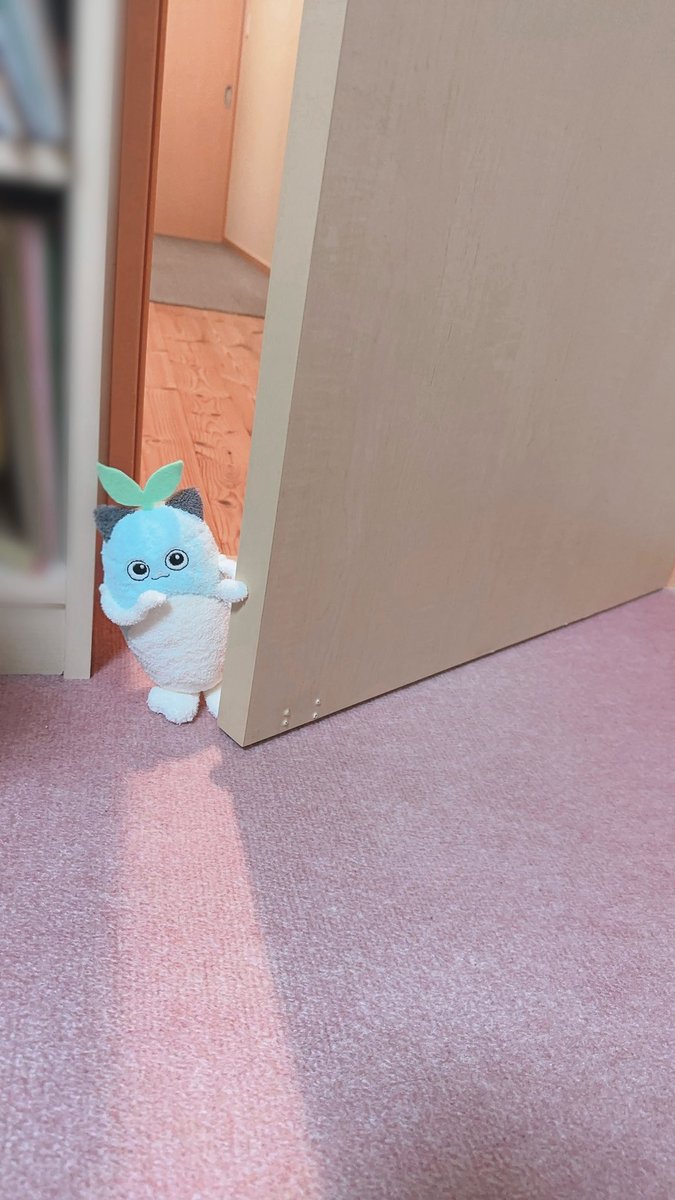 菜っぱ tweet media