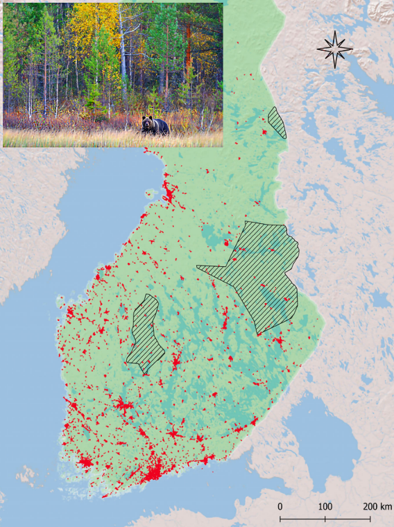 Daniele Falcinelli (@daniele92) on Twitter photo Overjoyed that my first PhD chapter came out today on <a href="/JZoology/">Nimay J M.Sc. Zoology</a>!
The use of anthropogenic areas helps explain male brown bear movement rates and distance travelled during the mating season: …lpublications.onlinelibrary.wiley.com/doi/10.1111/jz…
<a href="/SapienzaRoma/">Sapienza Università di Roma</a> <a href="/CantabrianBear/">Cantabrian Brown Bear & Otter Research Group</a> <a href="/CSIC/">CSIC</a> <a href="/mariamardelgad1/">maria mar delgado</a> Overjoyed that my first PhD chapter came out today on <a href="/JZoology/">Nimay J M.Sc. Zoology</a>!
The use of anthropogenic areas helps explain male brown bear movement rates and distance travelled during the mating season: …lpublications.onlinelibrary.wiley.com/doi/10.1111/jz…
<a href="/SapienzaRoma/">Sapienza Università di Roma</a> <a href="/CantabrianBear/">Cantabrian Brown Bear & Otter Research Group</a> <a href="/CSIC/">CSIC</a> <a href="/mariamardelgad1/">maria mar delgado</a>