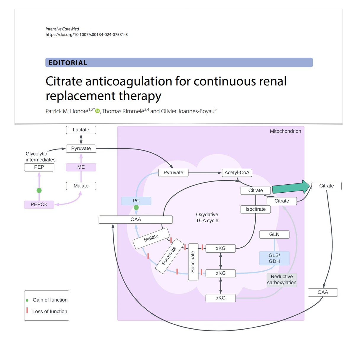 yourICM's tweet photo. Citrate anticoagulation for #CRRT
⚙️mechanisms contributing to metabolic disturbances
⚖️strategies for adapting citrate anticoagulation
🏭hypothesis of inducible alternative metabolic pathway for citrate
🏁establishing thresholds for initiation
#FOAMcc
🔓 https://t.co/NaRyYyagwY https://t.co/T9cJiYFttU