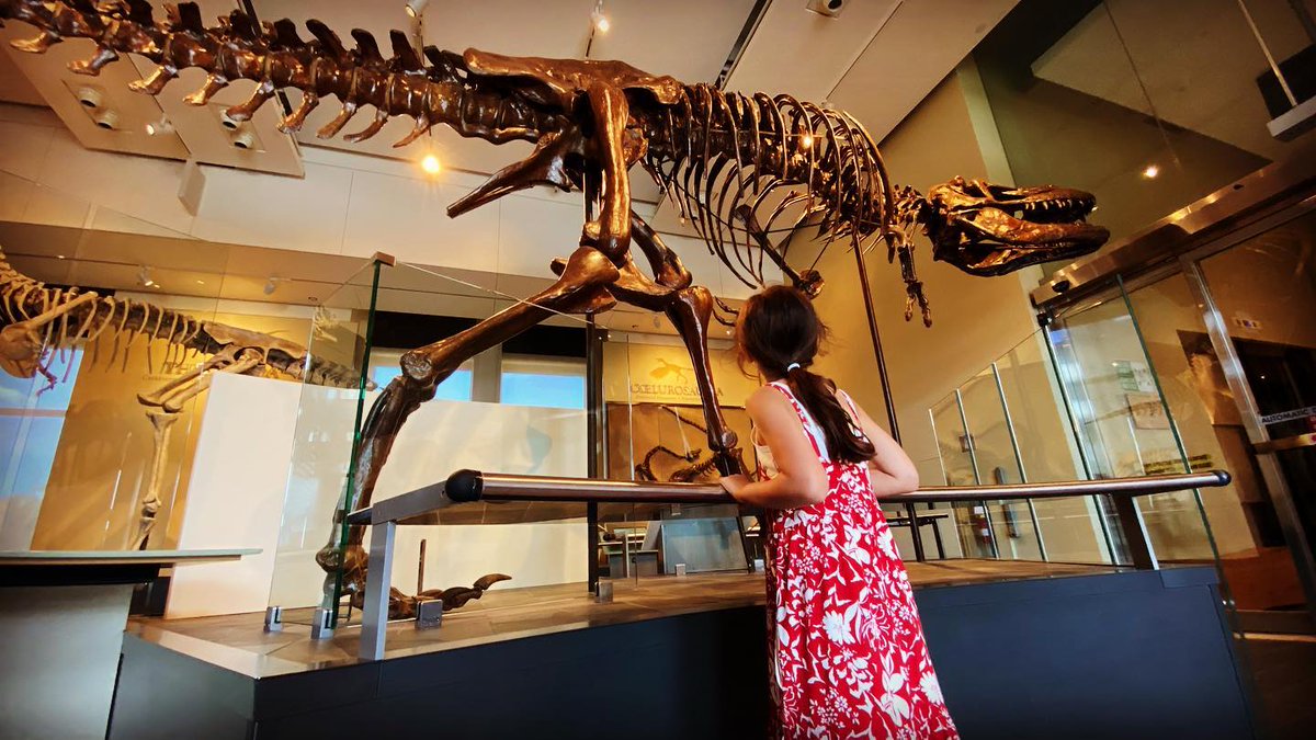 MuseumofNature's tweet photo. We are thrilled to share that the @MuseumofNature is a @canoopass partner! 🎉 #NewCanadian citizens and #PermanentResidents, this means you can explore our fascinating exhibits for free or at a discount! 🌎✨ Download the #CanooApp &amp; learn more: https://t.co/ZS2mSpROTz #CanooPass https://t.co/57ikqdQ4yD