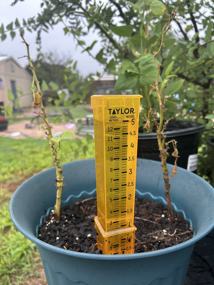 Lisa Peek tweet media