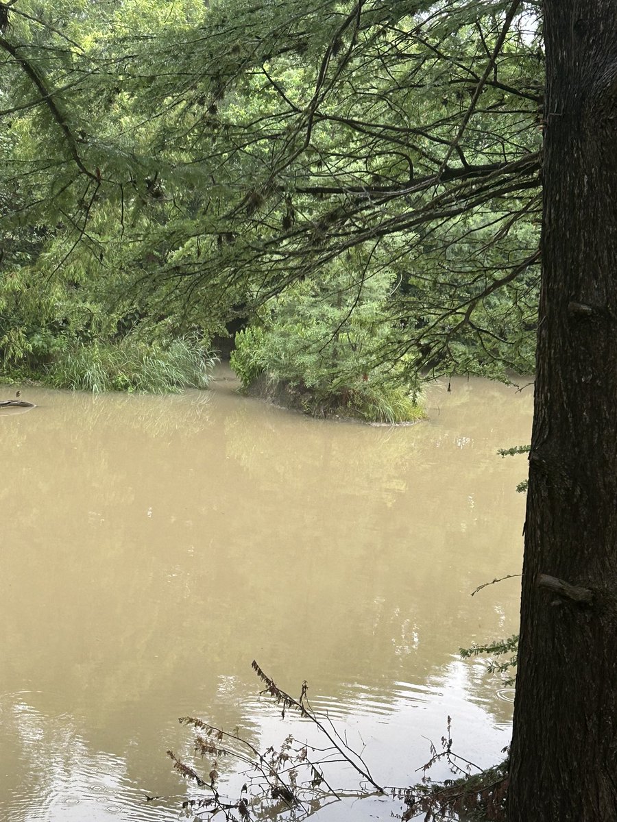 Very glad I had to drive to downtown YESTERDAY and not today! We’re getting much needed rain, but flooding too!
