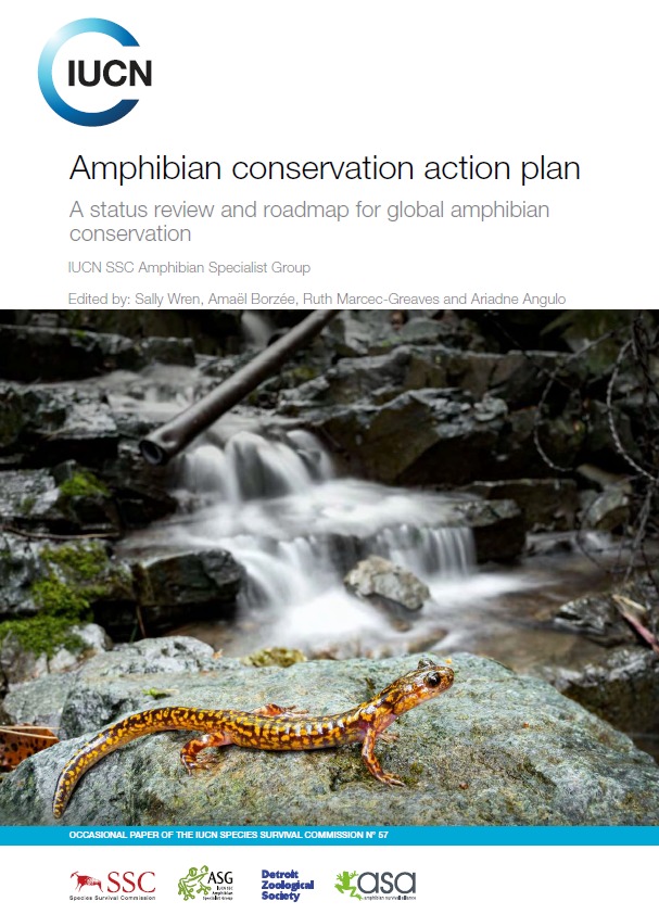 🐸 ¡Gran noticia para la conservación de los anfibios! 🌍 Hoy anunciamos la actualización del Plan de Acción para la Conservación de los Anfibios  #ACAP2024 Conoce más en este enlace: portals.iucn.org/library/node/5… #ConservaciónAnfibios #Biodiversidad