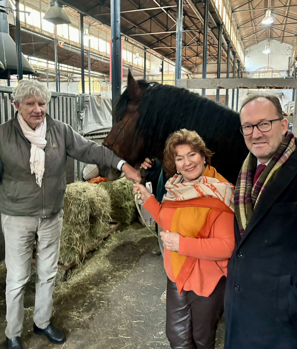 🇧🇪🐴 ¡Nuevamente los caballos de tiro belgas premiados en la Rural de Buenos Aires!

El embajador <a href="/KarlDhaene/">Karl Dhaene</a> visitó a la
criadora Sra. Chantal Badin y pudo admirar esta extraordinaria raza belga  de los Ardenés que sigue cosechando premios en 🇦🇷

👏 ¡Muchas felicitaciones!