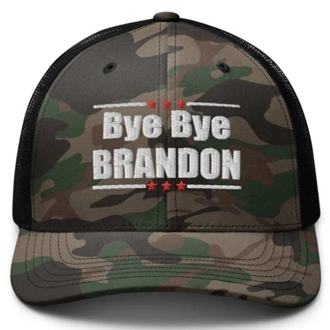 LimitedRags's tweet photo. @LauraLoomer @KamalaHarris Bye Bye Brandon!

https://t.co/TRch0bDM8W https://t.co/wv3IBb0LQz
