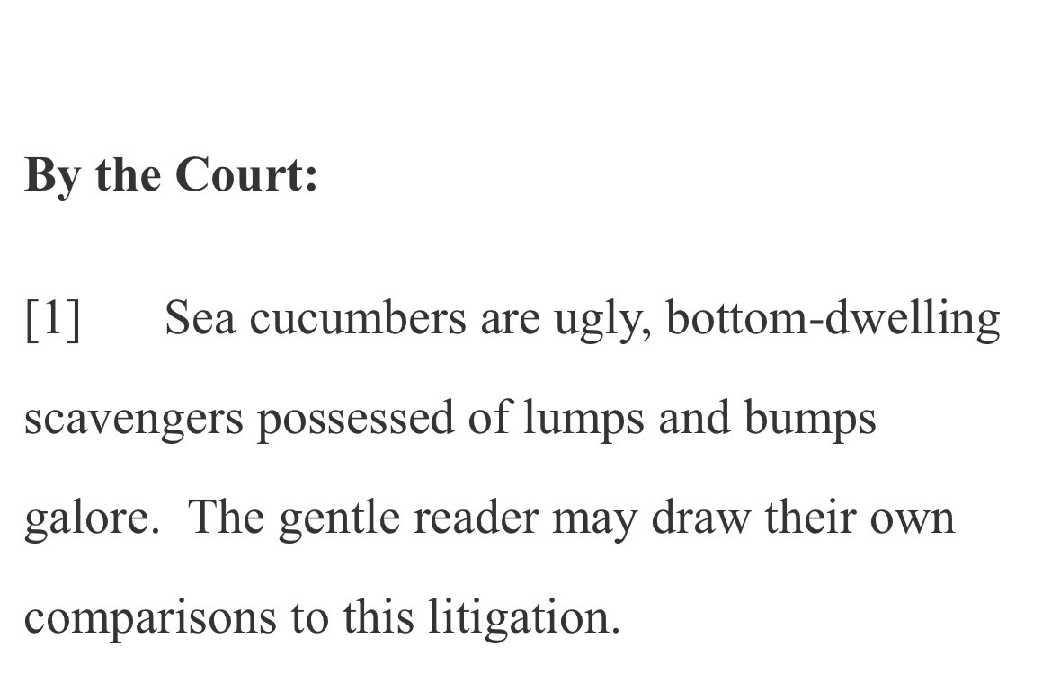 Sage Nematollahi (he/him) tweet media