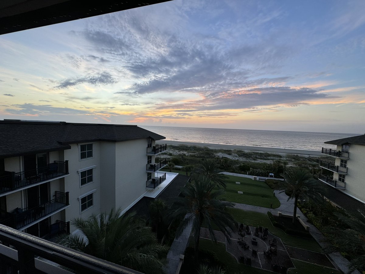 Rebecca Malmquist tweet media