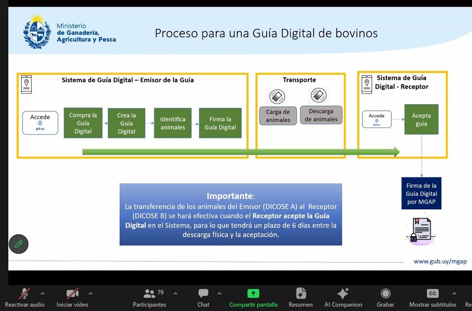 andres_treglia's tweet photo. Se presentó Fase 1 para la implementación de la Guía Digital de propiedad y tránsito de semovientes. Beneficios, procesos, habilitados, compra de #GuiaDigital. Algunos de los aspectos presentados.
#DescentraUy #SNIG @MGAPUruguay @cintendentesuy @cnfr_uy @federacionrural @FUCREA https://t.co/GCAGkz1wv9