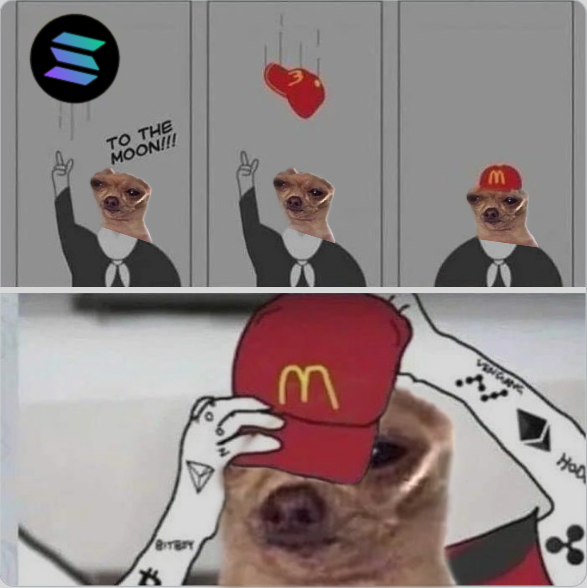 Ke2026's tweet photo. @JasCrypto_ @spaace_io Tired of random Rugs ? Join @TokTheDog And help him get back is cuteness ! https://t.co/PIGdQoK6da