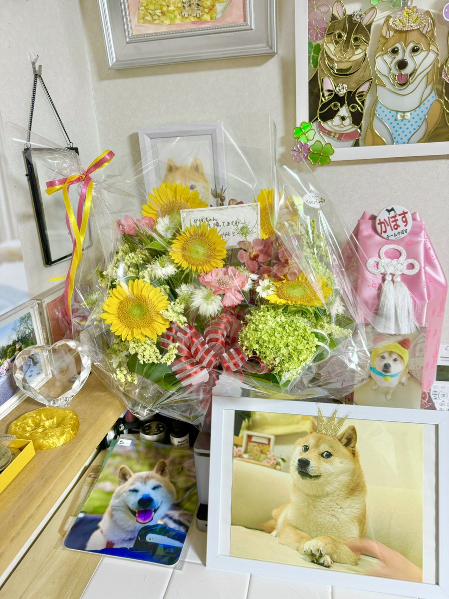 ブログを更新しました。
見てくださいね。

かぼちゃん、
おかあさんは
頑張ってるよ。

Please check out the new blog post😊

kabochan.blog.jp/archives/52211…