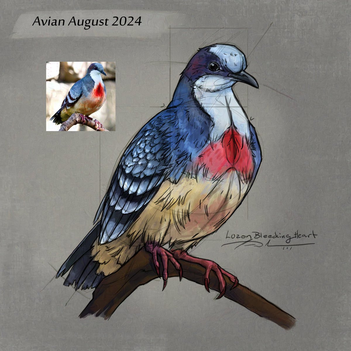Bonus Bird: Luzon Bleeding-Heart Dove ( Gallicolumba luzonica ) for #AvianAugust2024

45min Sketch Study
A result of not choosing the refs correctly XD
#AvianAugust #birds #bird #ornithology #nature #SciArt