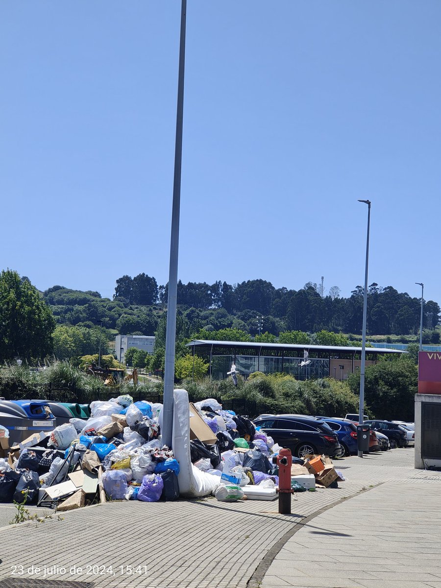 ana_mansii's tweet photo. @sector7_coruna Ya vienen las gaviotas a recogerla😤😤 https://t.co/aKSpAKtyqU
