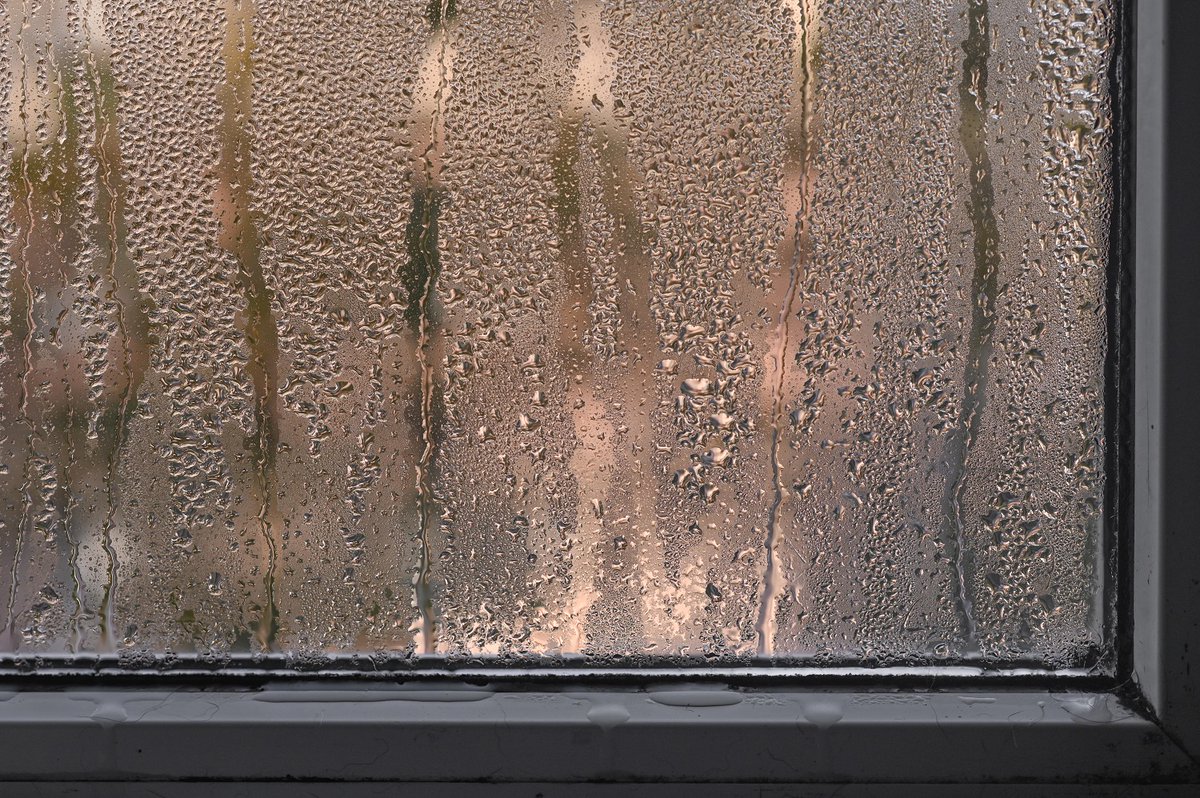 IESVE's tweet image. Join us for a free live web demo showcasing the new VE Script available for condensation analysis.
📆 Wed, 31 July, 1pm AEST
👉 Book your space: bit.ly/3WCgdPG
#IESVE #Condensation #Scripting