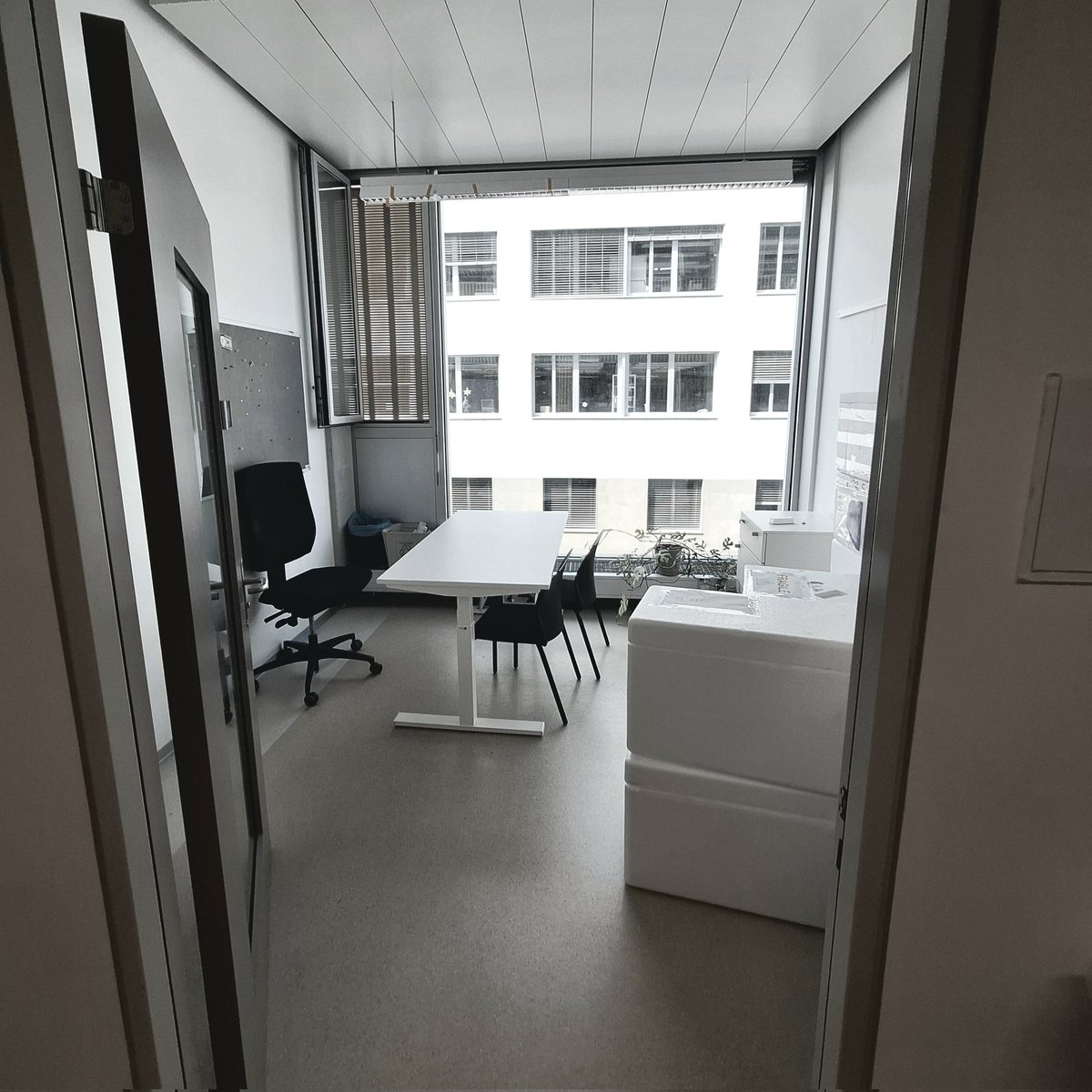 Omaya Dudin🍉¦ 🦠¦🔬¦ tweet media