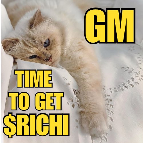 RichiCTO's tweet photo. Gm fam… meow ☀️ $RICHI https://t.co/3hlsniufZ6