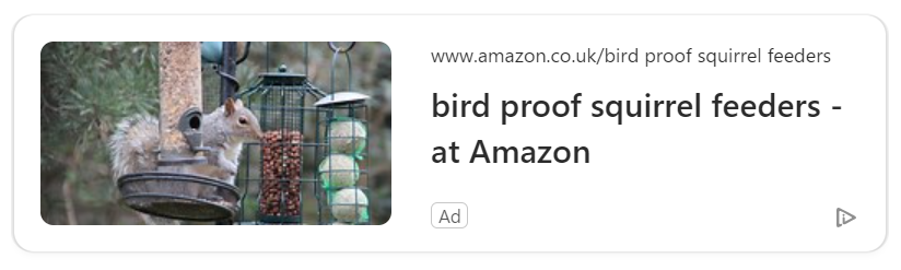 Why do I keep seeing this <a href="/AmazonUK/">Amazon.co.uk</a> advert for bird proof squirrel feeders on my <a href="/Microsoft/">Microsoft</a> 365 homepage? Is someone having a laugh? Thoughts <a href="/Natures_Voice/">RSPB</a> <a href="/_BTO/">BTO</a> ?
