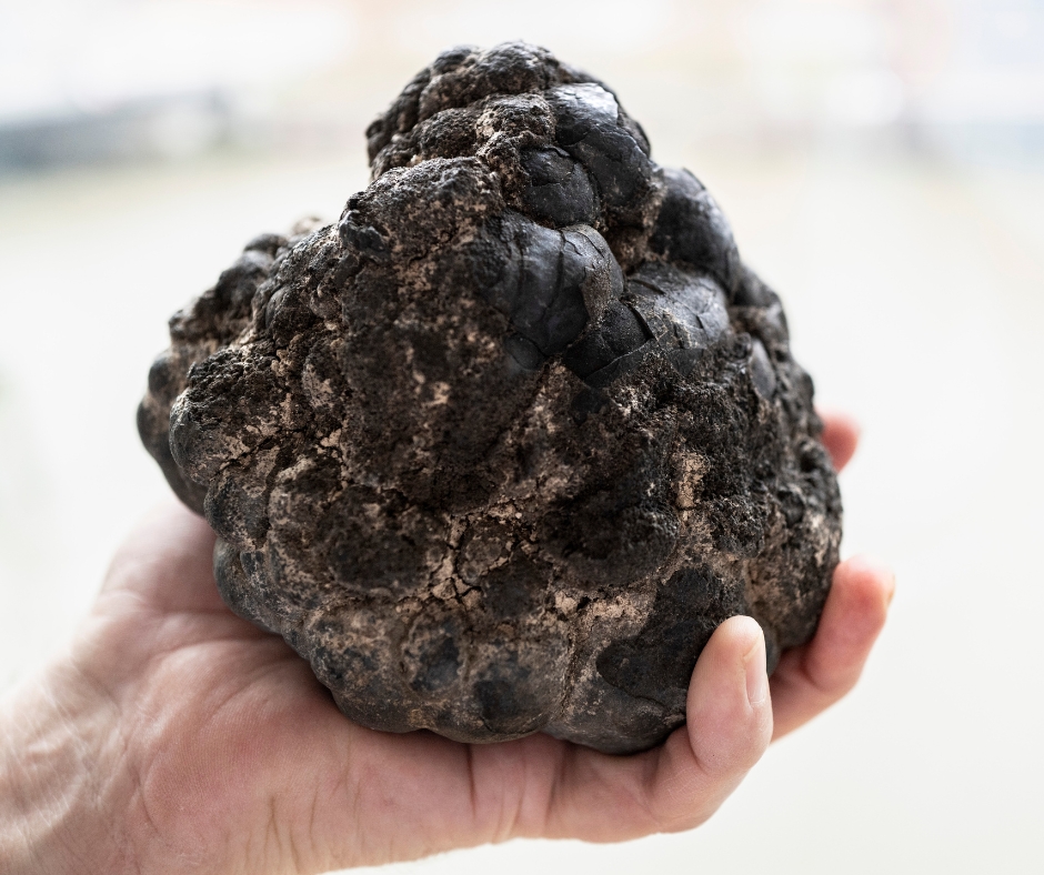 GROUNDBREAKING! Een wonder in de diepzee: Mangaanknollen maken zuurstof! 🤯 Nóg een reden om diepzeemijnbouw niet toe te staan en dit unieke ecosysteem vol wonderen te beschermen. #diepzeemijnbouw #stopdeepseamining Teken de petitie via act.gp/mangaanknol ✍️