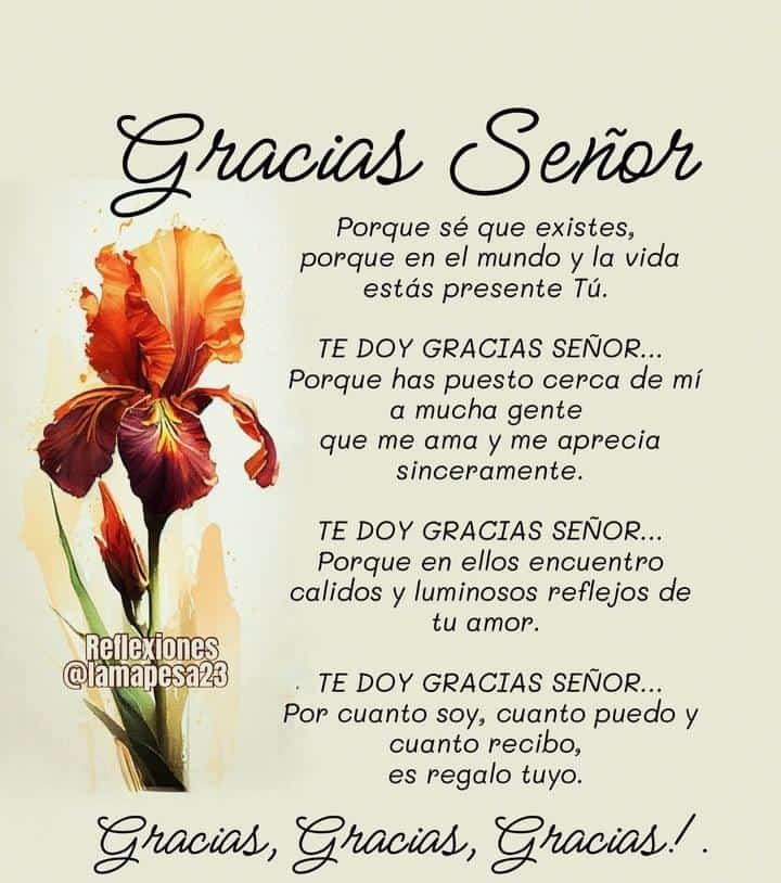 Buenos días ,feliz y Bendecido martes , siempre con las Bendiciones de Dios y San Miguel Alcangel 🙏🏻☕🌞♥️🤗😘🌹🥀🌺🌷🪷🏵️🏵️🪻🌻🌼💐