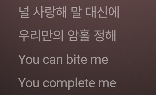 사랑해<라는 말 대신에 우리만의 암호를 정하자고 한 다음
바로 
Bite Me
Complete Me
나와버리잖아
이거 뭔뜻인지 엔진만 알잖아
지금 엔하이픈이...
우리한테만 사랑한다고 한거야
노래듣는 모두가 아니라 엔진한테만
