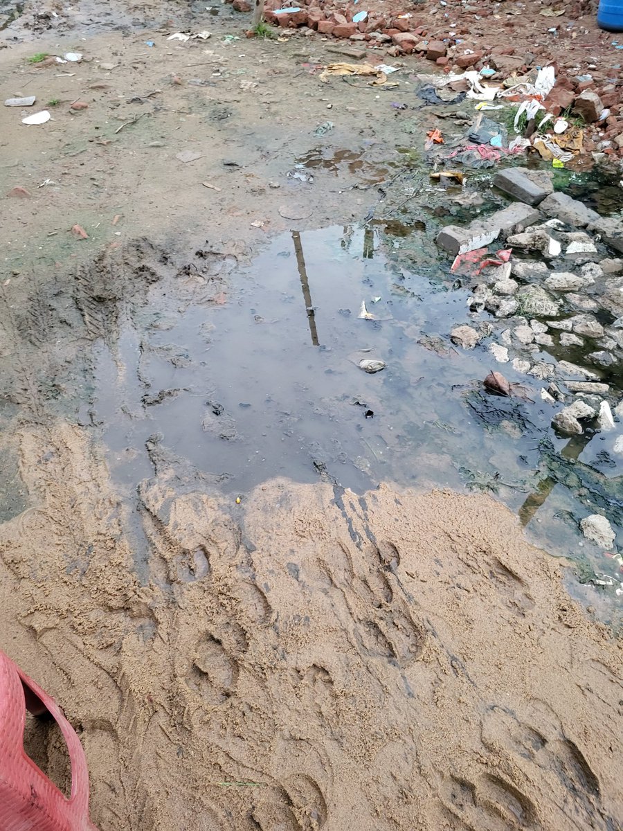 ScribbleCodes's tweet photo. @CMCCuttack @MohanMOdisha
This is the condition of Barabati Stadium surrounding, The food court, a popular spot, is plagued by water logging and mosquito breeding, making it unfit to stand in. What is the government doing? Where is the taxpayers' money being spent? https://t.co/4lX0Yvq2Do