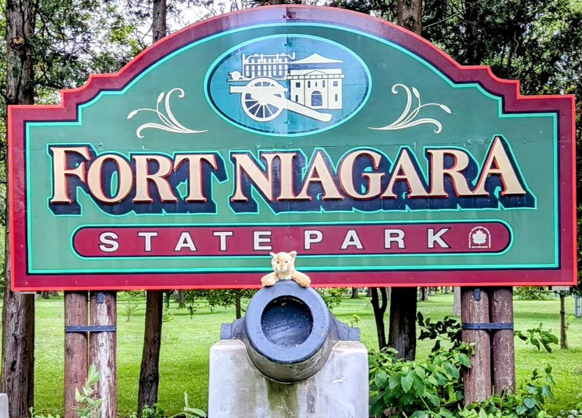 Colson Elementary tweet media