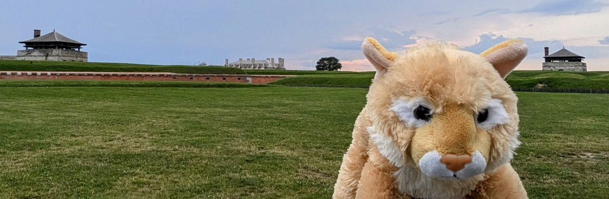 Colson Elementary tweet media