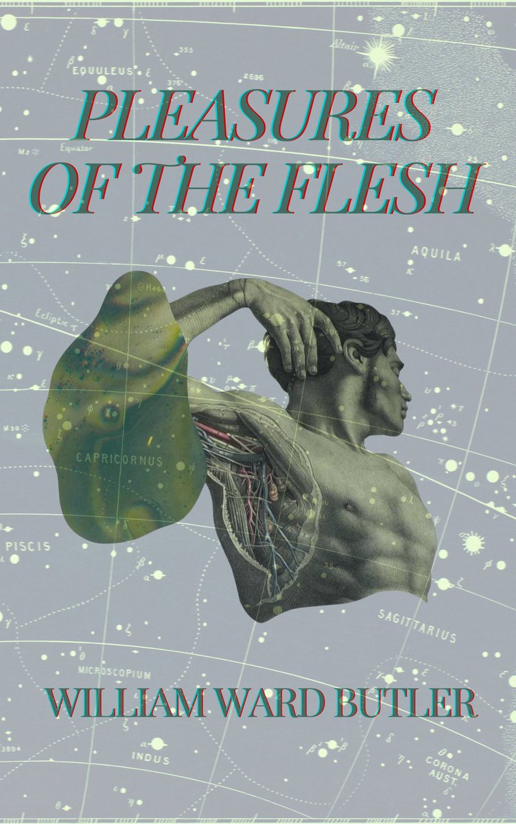 GhostCityPress's tweet image. PLEASURES OF THE FLESH by @WilliamWButler is out today as part of the 2024 Summer Series! Download your free copy here: ghostcitypress.com/2024-summer-se…