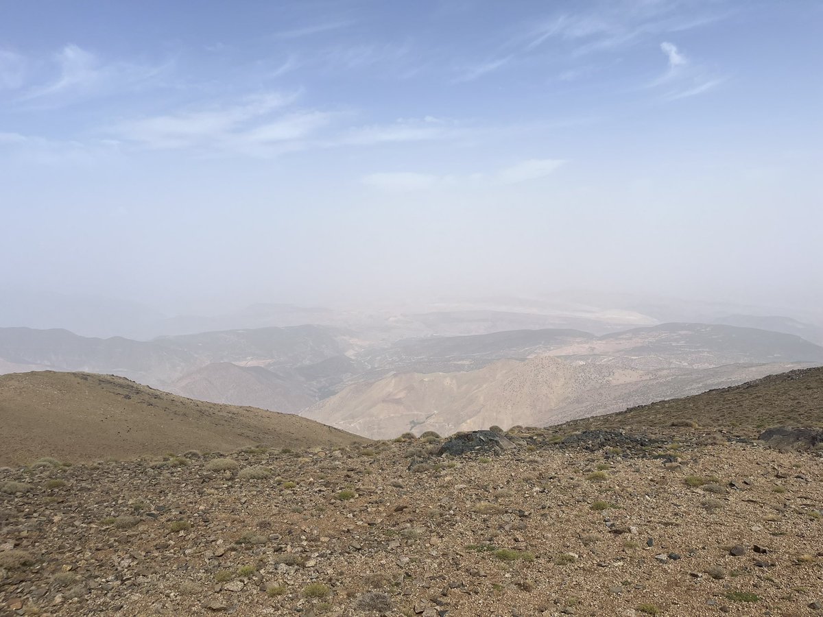 TCS Naples 2025 tweet media