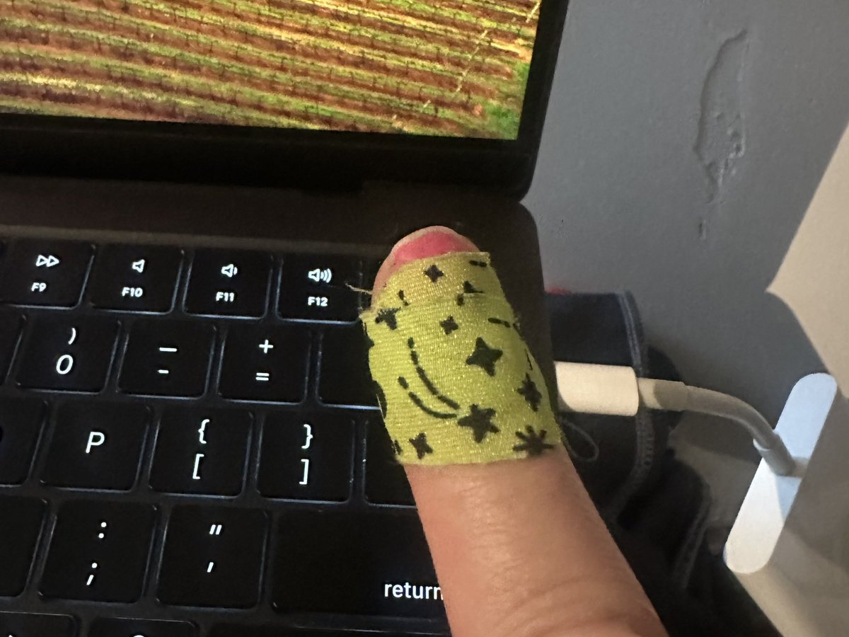 eskeymo's tweet image. When you4 primary means of logging into everything is foiled by a blackberry bush reluctant to give up its goods. #TouchID #KidsSpaceBandAidForTheWin