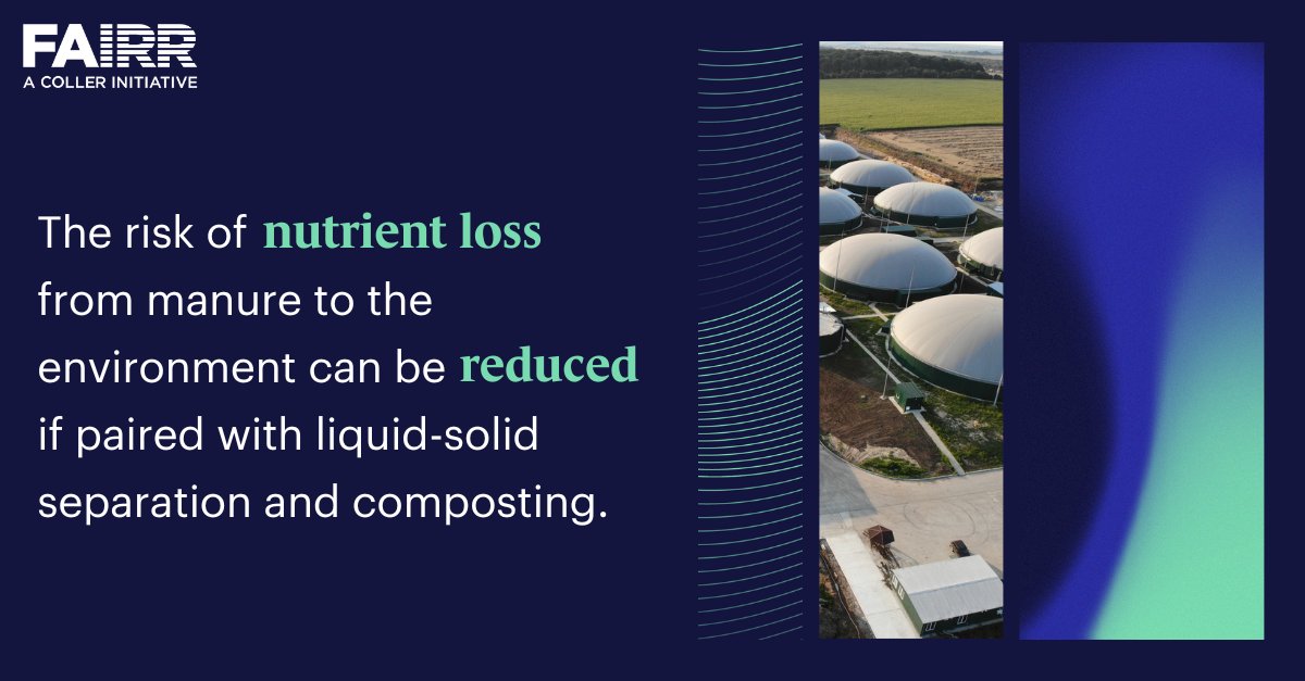 Nutrient circularity is vital to protect soil health and reduce the risk of #pollution from animal waste. 

However, FAIRR’s research shows that many companies still view it as a cost rather than an opportunity ♻️