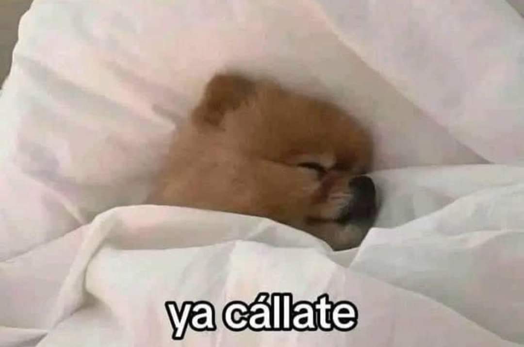 En_jupiter_'s tweet photo. Mi alarma: 6:30, 6:45, 7:00, 7:15, 8:00
Yo: https://t.co/YRNoSNeJzE