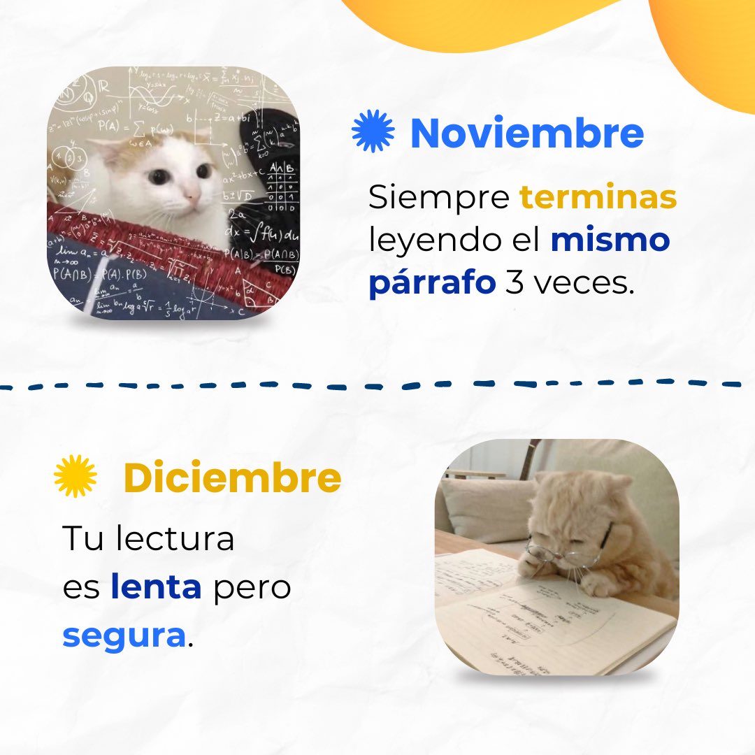 LideditorialCo's tweet photo. ¿Te sientes identificado? ¡Te leemos!

#Memente #LIDEditorial #Funny #Michi #Lector #Leer #Libros https://t.co/S5z1u5xgVf