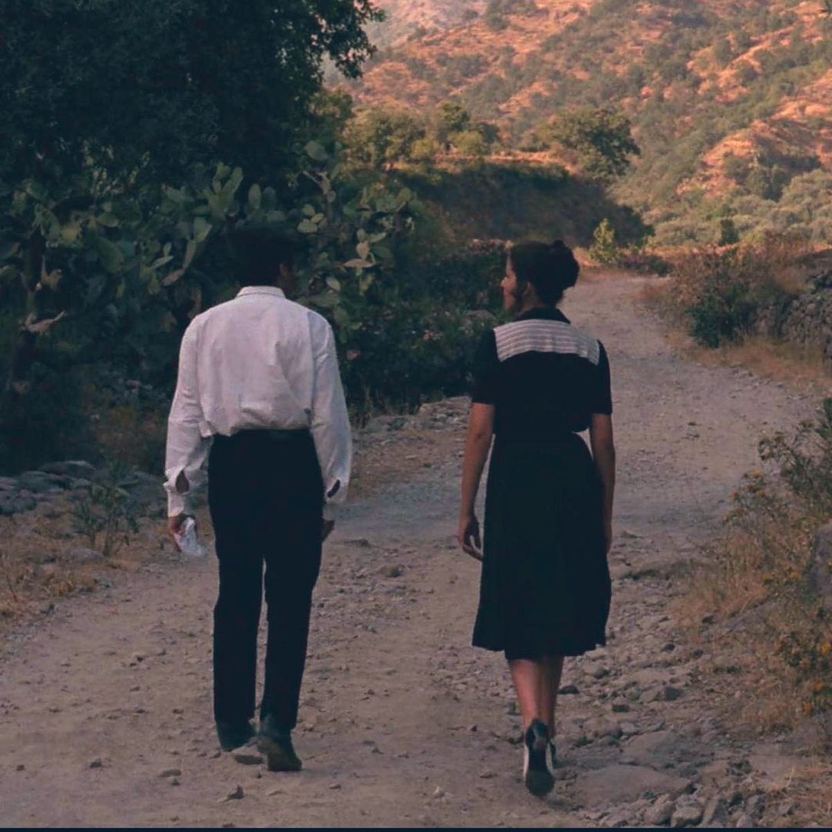 The Godfather

Francis Ford Coppola
1972