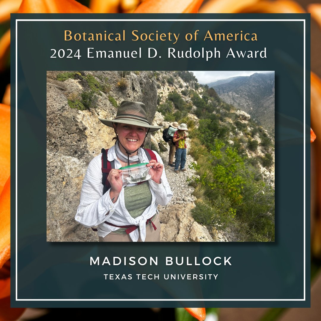 Botanical_'s tweet photo. The BSA Historical Section is happy to announce Madison Bullock, Texas Tech University, as the winner of the Emanuel D. Rudolph Award for best student presentation of a historical nature at Botany 2024!

To see past winners, visit: https://t.co/kV647rj8cb

#BSAawards #PlantJoy https://t.co/fAnp4U4Rbb
