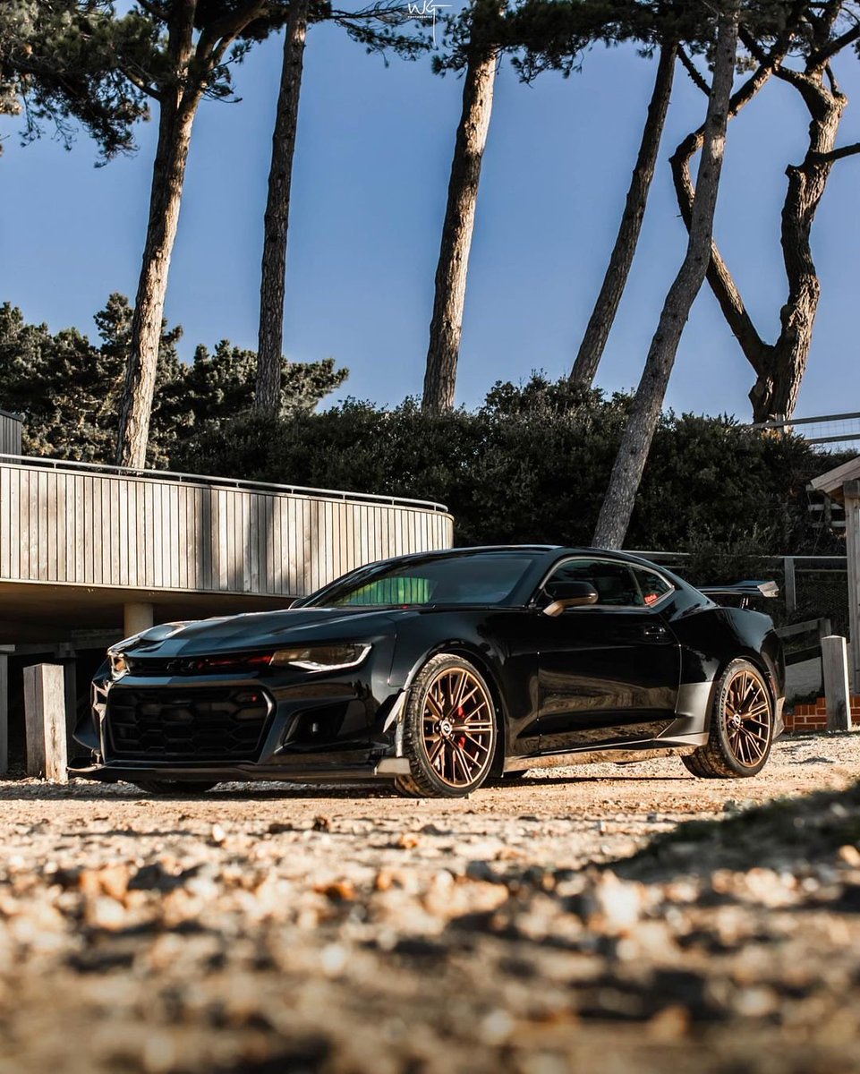 Earnhardt_Chevy's tweet image. No competition. #CamaroZL1
📸: @wolfies_garage