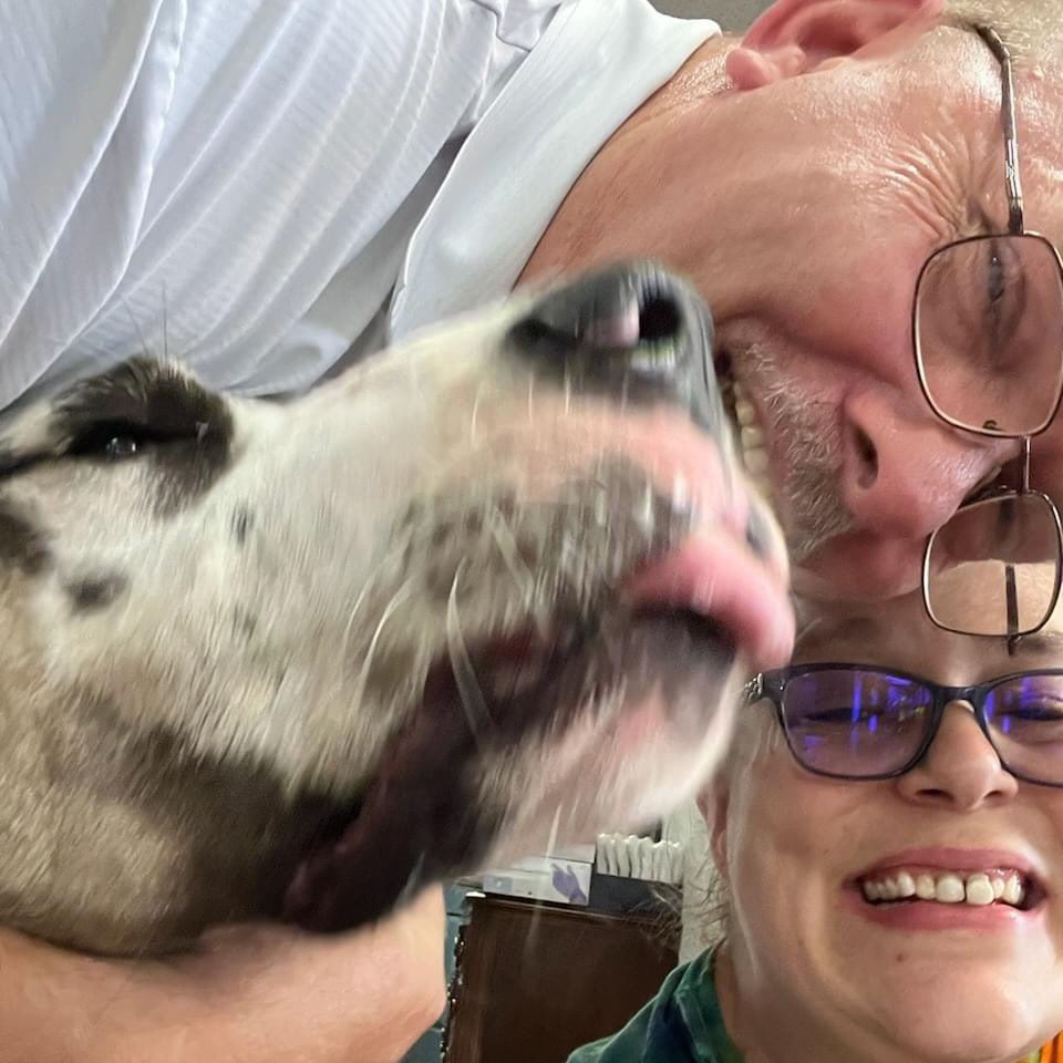 GleaningForTheWorld tweet media