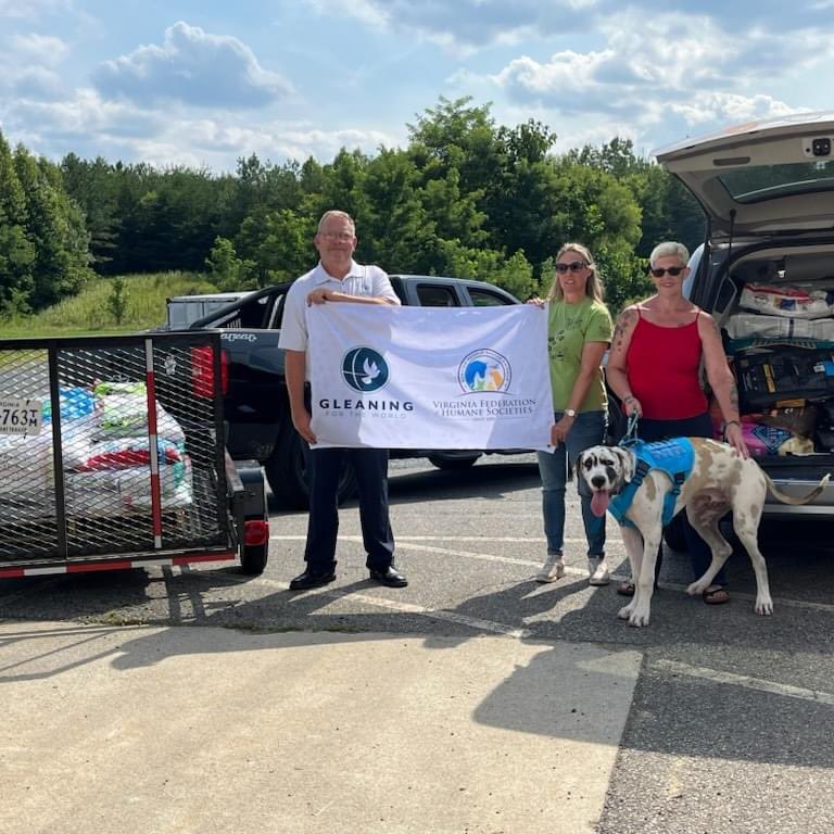 GleaningForTheWorld tweet media