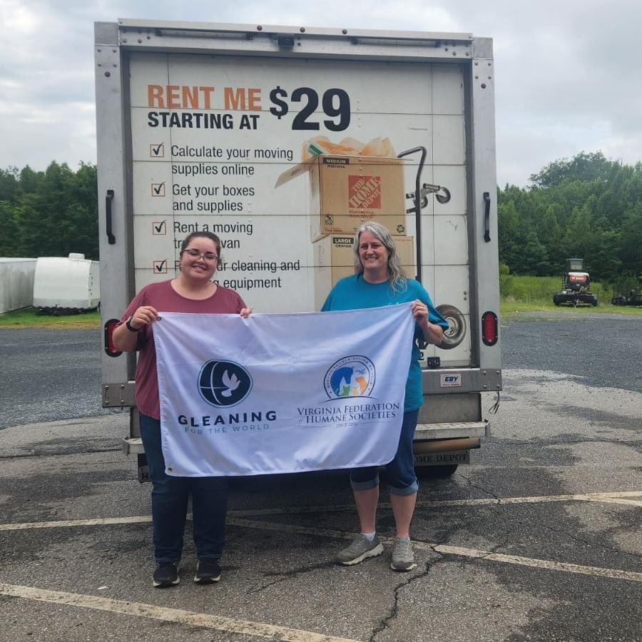 GleaningForTheWorld tweet media