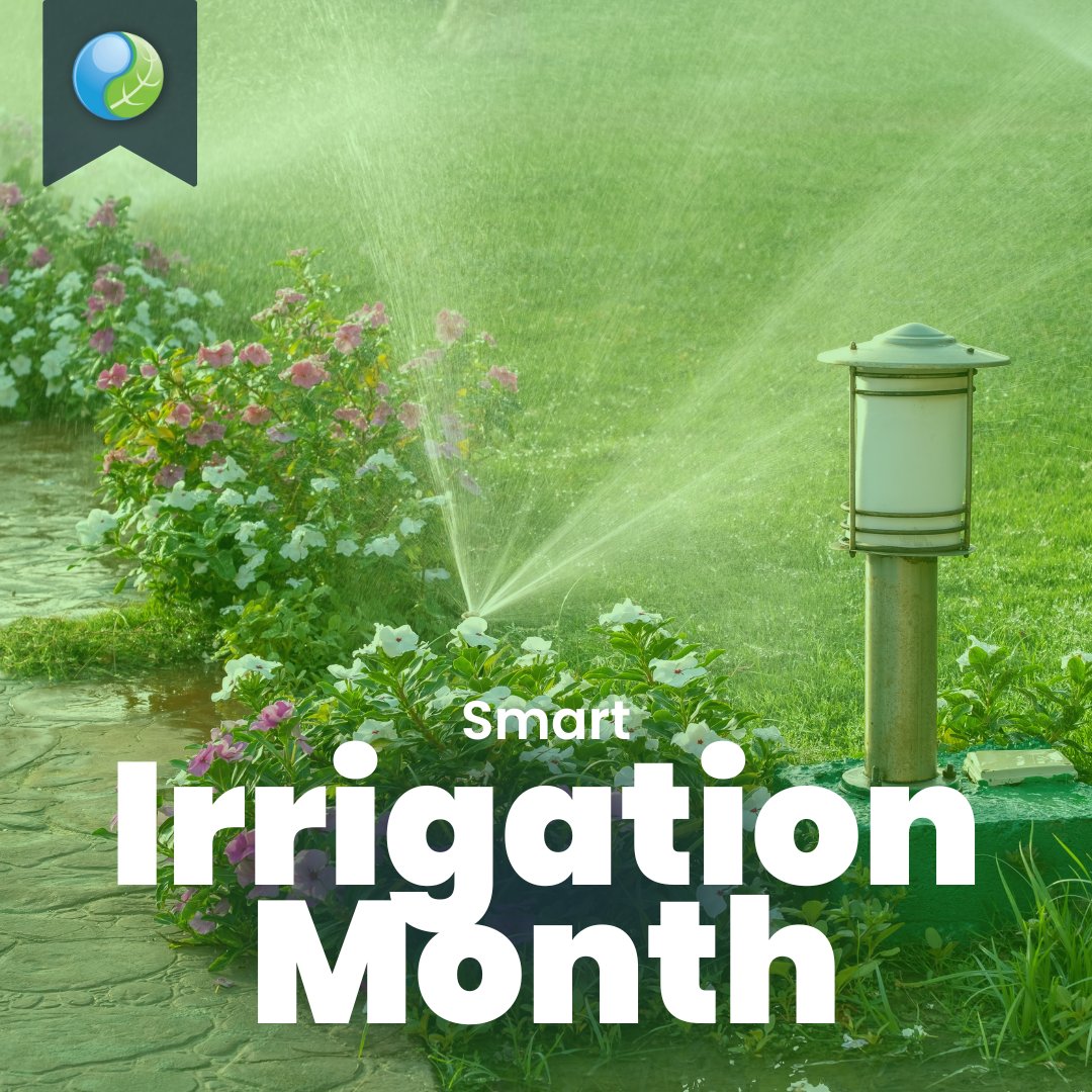 sprinklerguys's tweet image. 🌱 July is Smart Irrigation Month! 💧 Efficient watering not only saves water but keeps your lawn healthy and green. Upgrade to smart irrigation systems today &amp;amp; see the difference. Visit bit.ly/3SinRMp ! #SmartIrrigationMonth #SprinklerSystem #LawnCare