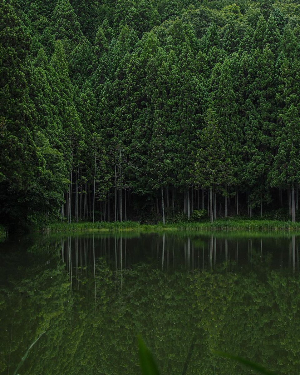 aestheticwabi's tweet photo. https://t.co/RUNbaKvzqz