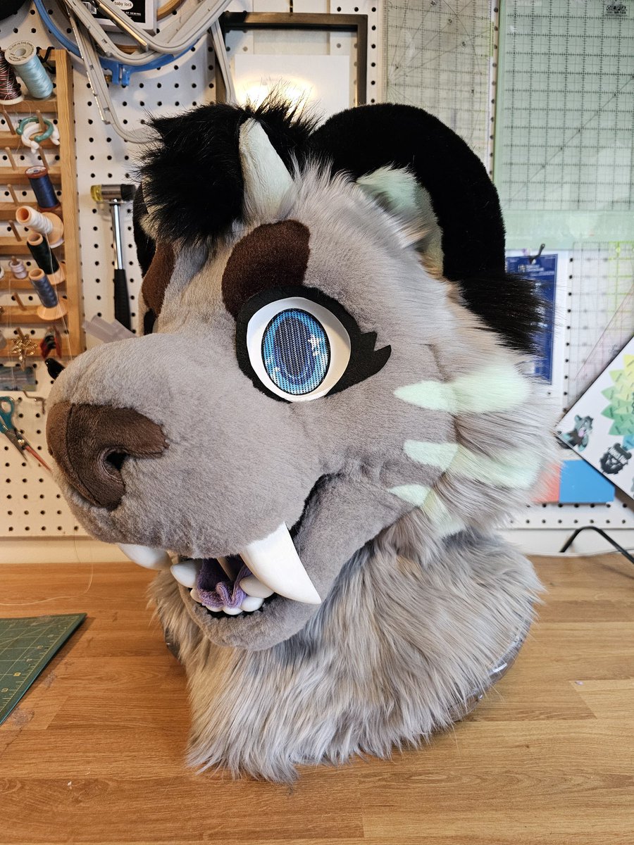 🌠Nova🌠 @ 🔜 TFF tweet media