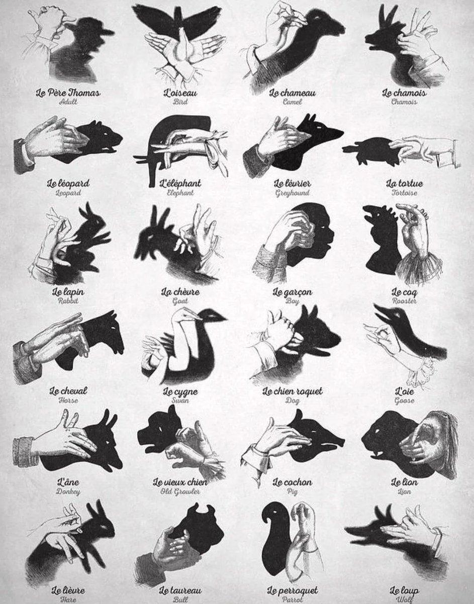 Various hand shadows