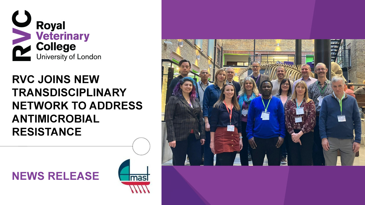 🦠 We will be participating in the newly launched Agrifood Systems Transdisciplinary (AMAST) Network – a  project which to better understand how antimicrobial resistance (AMR) impacts the UK’s food production and agrifood system.

➡️ Read more at: rvc.uk.com/amr-amast
