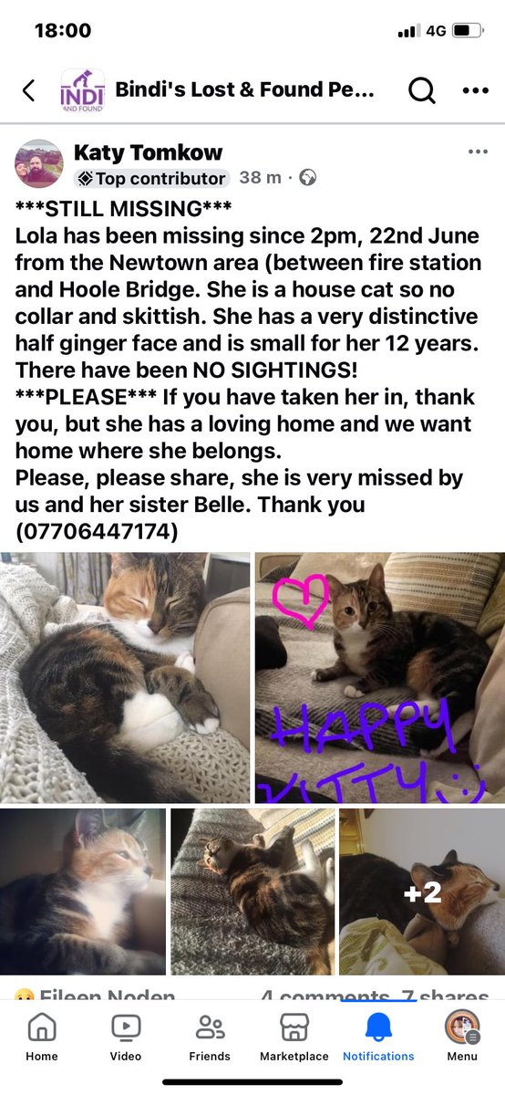 Help Find ‘Me’ - Chester tweet media