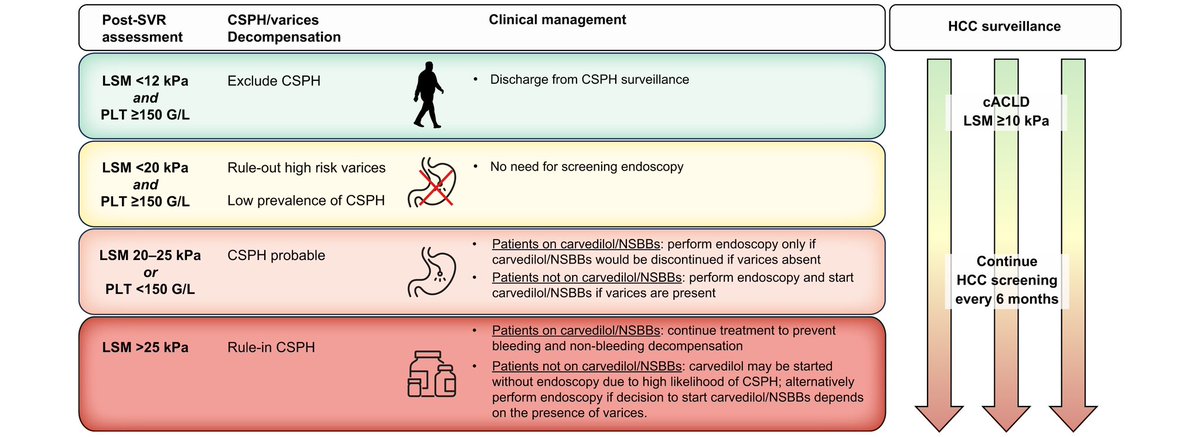 Mattias Mandorfer (@mattiasmandorf1) on Twitter photo Possibly the most satisfying achievement for physician-scientists: When your proposal stands the test of time & defines clinical practice.
👉 <a href="/BavenoCoop/">The Baveno Cooperation: an EASL Consortium</a> for cACLD after HCV-cure ➡️ <a href="/EASLnews/">EASLnews</a> Position Paper 🔗 bit.ly/3Va2uh2 <a href="/JHepatology/">Journal of Hepatology</a>
đź«¶ @GeorgSemmler <a href="/SaSi_Lens/">Sabela Lens GarcĂa</a> Possibly the most satisfying achievement for physician-scientists: When your proposal stands the test of time & defines clinical practice.
👉 <a href="/BavenoCoop/">The Baveno Cooperation: an EASL Consortium</a> for cACLD after HCV-cure ➡️ <a href="/EASLnews/">EASLnews</a> Position Paper 🔗 bit.ly/3Va2uh2 <a href="/JHepatology/">Journal of Hepatology</a>
đź«¶ @GeorgSemmler <a href="/SaSi_Lens/">Sabela Lens GarcĂa</a>