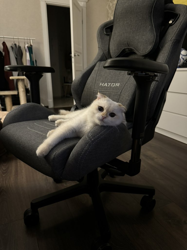 ну тримайте кота тоді, ок