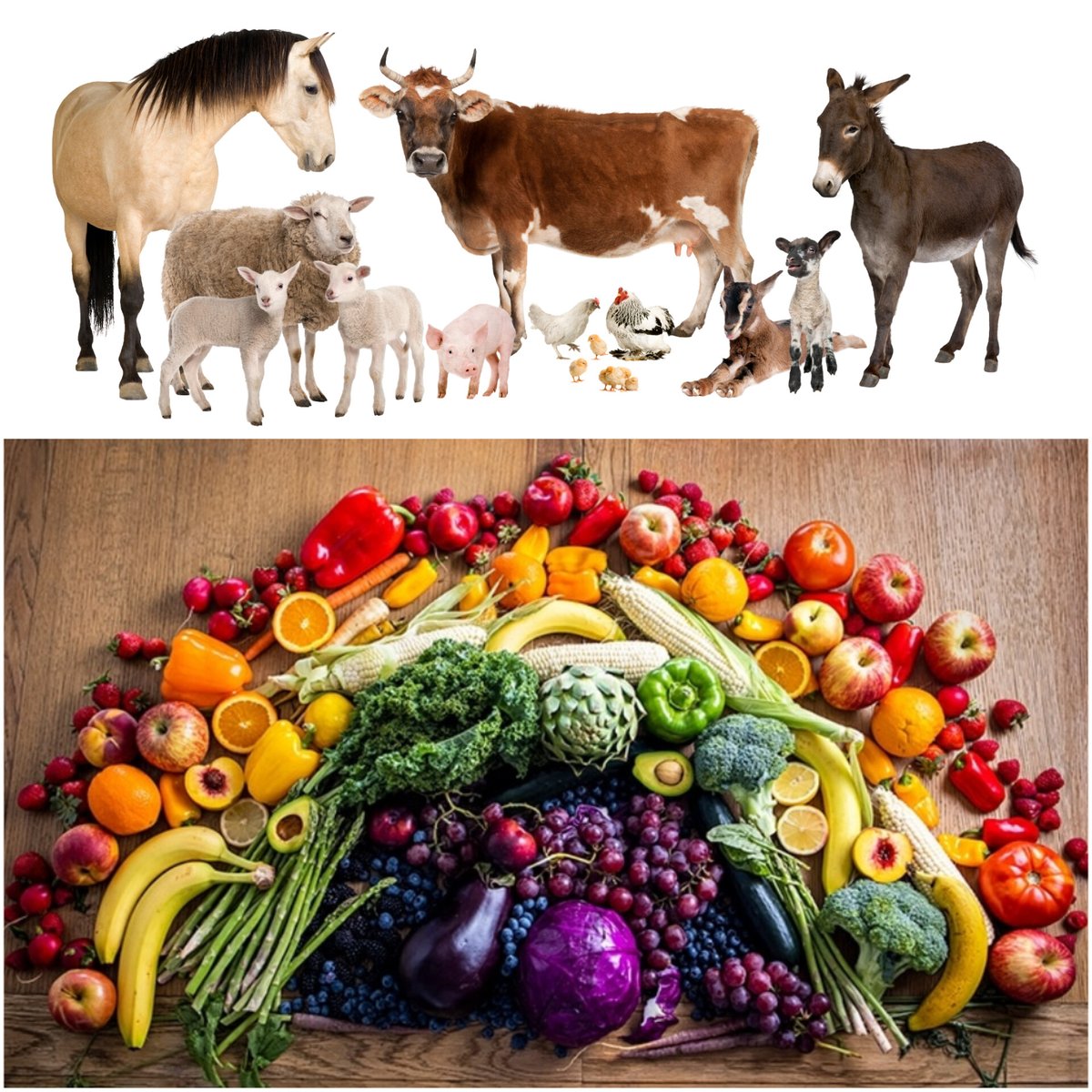 🐷🍏 Gaļas, zivs un piena produktu aizvietošana ar augu produktiem pēdējos gados kļūst par cilvēku ikdienu arvien biežāk. Ne velti pērn Latvijas tirgū parādījušies vairāk nekā 130 jauni augu valsts produkti. Saruna @Latvijasradio raidījumā #KāLabākDzīvot:
lsm.lv/raksts/dzive--…