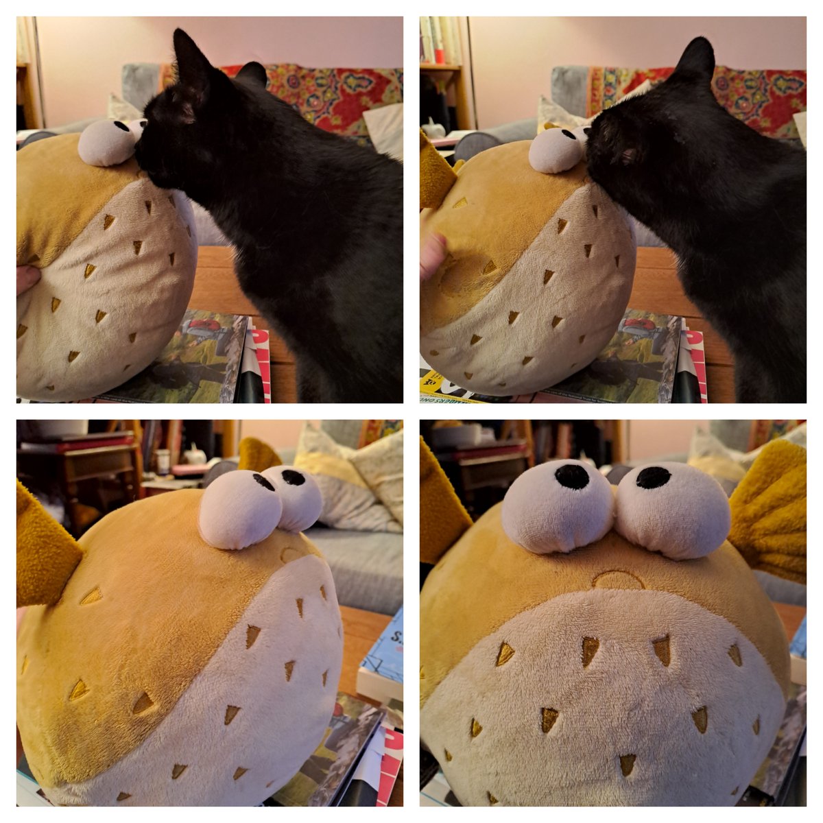 chemlibrarian NO LONGER ON X tweet media