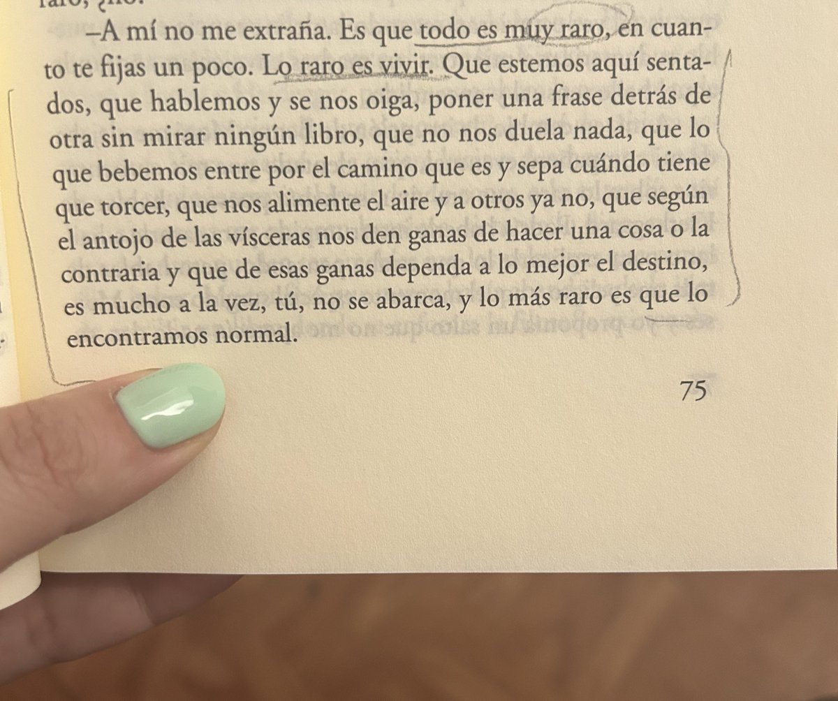 Lara Hermoso tweet media